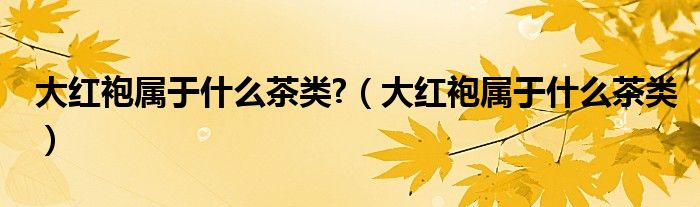 大红袍属于什么茶类?（大红袍属于什么茶类）