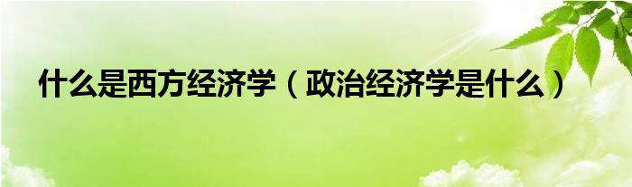 甚么是西方经济学（政治经济学是甚么）