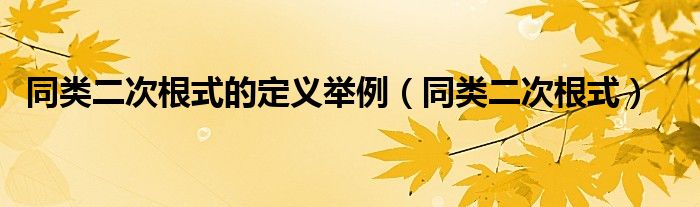 同类二次根式的定义举例（同类二次根式）