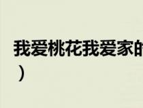 我爱桃花我爱家的歌词意思（我爱桃花我爱家）