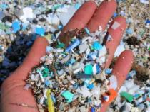 四十年的全球分析显示 自2005年以来海洋塑料数量空前增加