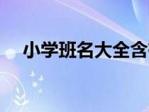 小学班名大全含有文艺（小学班名大全）