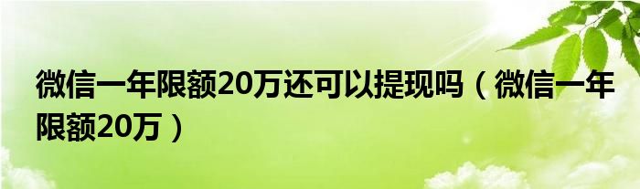 微信一年限额20万还可以提现吗（微信一年限额20万）