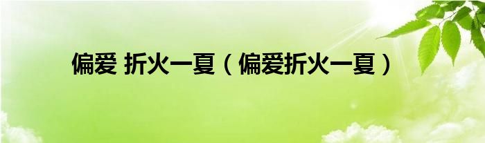偏爱 折火一夏（偏爱折火一夏）
