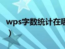 wps字数统计在哪里找（wps字数统计在哪里）