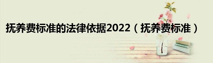 抚养费标准的法律依据2022（抚养费标准）