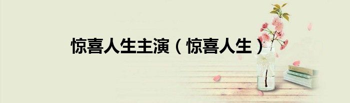 惊喜人生主演（惊喜人生）