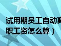 试用期员工自动离职如何处理（试用期自动离职工资怎么算）