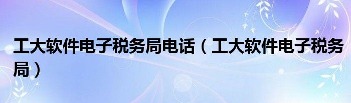 工大软件电子税务局电话（工大软件电子税务局）