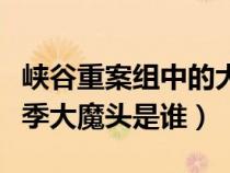 峡谷重案组中的大魔头是谁(峡谷重案组第二季大魔头是谁) 峡谷重案组中的大魔头是谁(峡谷重案组第二季大魔头是谁)