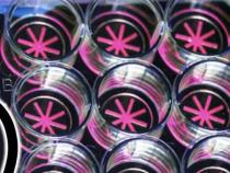 章鱼：一种在培养皿中生长微型器官的优化装置