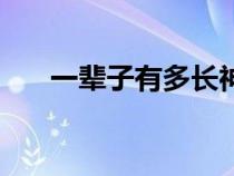 一辈子有多长神回答（一辈子有多长）