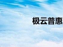极云普惠云店（极云普惠）
