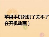 苹果手机死机了关不了怎么办（苹果手机开不了机怎么办卡在开机动画）