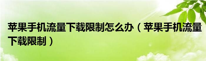 苹果手机流量下载限制怎么办（苹果手机流量下载限制）