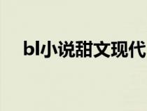 bl小说甜文现代（bl小说一受多攻甜文）