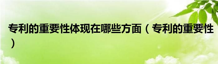 专利的重要性体现在哪些方面（专利的重要性）