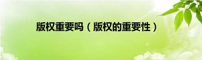 版权重要吗（版权的重要性）