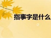 指事字是什么（指事字是什么意思）