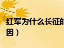 红军为什么长征的原因（红军为什么长征的原因）