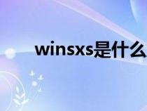 winsxs是什么文件夹(wins服务器) winsxs是什么文件夹(wins服务器)