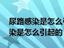 尿路感染是怎么引起的 原因有哪些(尿路感染是怎么引起的) 尿路感染是怎么引起的 原因有哪些(尿路感染是怎么引起的)