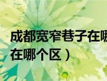成都宽窄巷子在哪个区哪条路（成都宽窄巷子在哪个区）