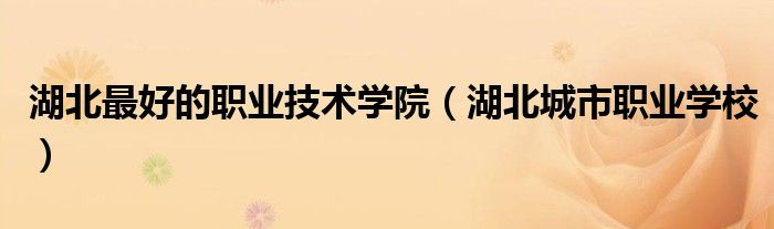 湖北最好的职业技术学院（湖北城市职业学校）