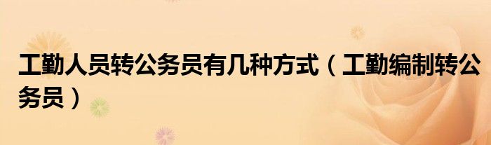 工勤人员转公务员有几种方式（工勤编制转公务员）
