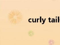 curly tail什么意思（curly）