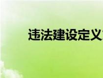 违法建设定义文件（违法建设定义）