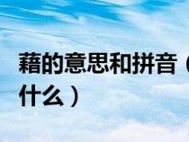 藉的意思和拼音（藉的读音有几种分别解释为什么）