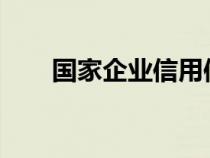 国家企业信用信息公示系统山东年报