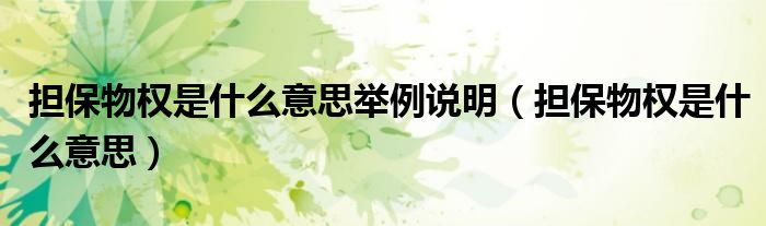 担保物权是什么意思举例说明（担保物权是什么意思）