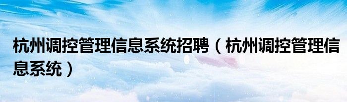 杭州调控管理信息系统招聘（杭州调控管理信息系统）
