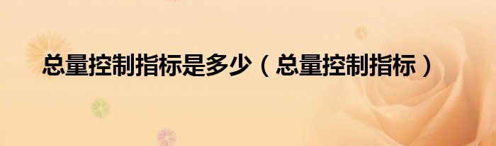 总量控制指标是多少（总量控制指标）