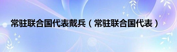 常驻联合国代表戴兵（常驻联合国代表）