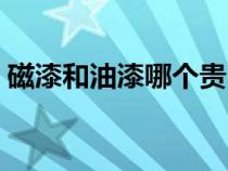 磁漆和油漆哪个贵（磁漆与普通漆什么区别）