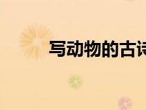 写动物的古诗词（写动物的古诗）