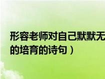 形容老师对自己默默无闻的培养(形容老师对学生默默无闻的培育的诗句) 形容老师对自己默默无闻的培养(形容老师对学生默默无闻的培育的诗句)