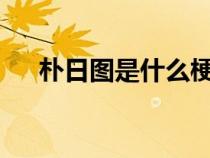 朴日图是什么梗(prt是什么格式文件) 朴日图是什么梗(prt是什么格式文件)