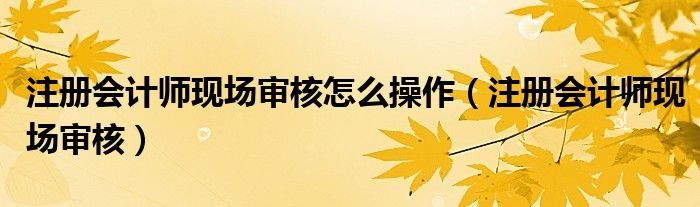 注册会计师现场审核怎么操作（注册会计师现场审核）
