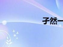 孑然一身是什么意思