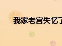 我家老宫失忆了下载（我家老宫失忆）