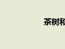 茶树和山茶花的区别