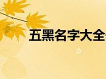 五黑名字大全一套（五黑名字大全）
