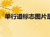 单行道标志图片是哪个（单行道标志图片）