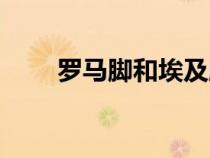 罗马脚和埃及脚哪个好看（罗马脚）