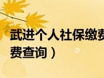 武进个人社保缴费查询官网（武进个人社保缴费查询）