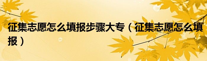 征集志愿怎么填报步骤大专（征集志愿怎么填报）
